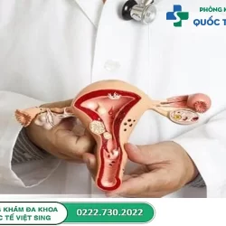 Cấu tạo âm đạo ở nữ giới: Các bộ phận, chức năng và các bệnh lý thường gặp