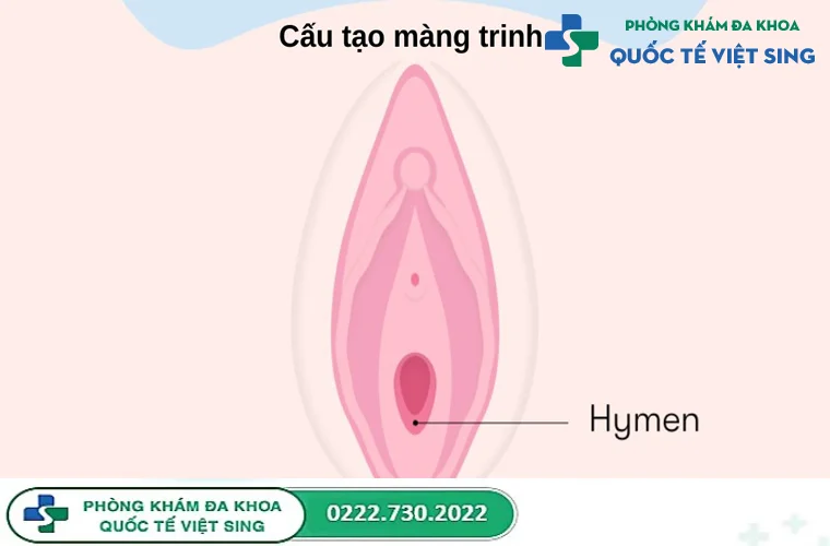 Điểm qua một số thông tin cần biết về màng trinh