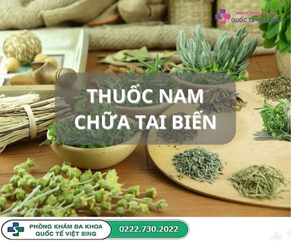 Cây thuốc nam chữa bệnh tai biến: Nên dùng khi nào, dùng ra sao cho an toàn?